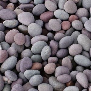 Meet your Posher, Alivia